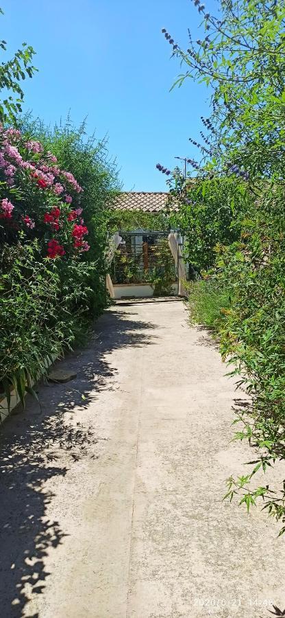 Secret Garden - Chez Gilles Et Tra - Maison D Hote -T2 Super Mignon, Neuf Et Independant , Dans Cadre Agreable Et Zen Valergues Buitenkant foto